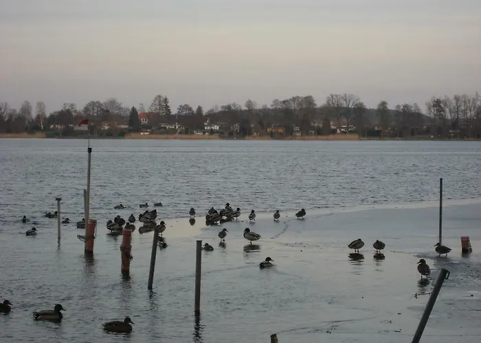 Ferienwohnung Am 公寓 施维洛赫塞